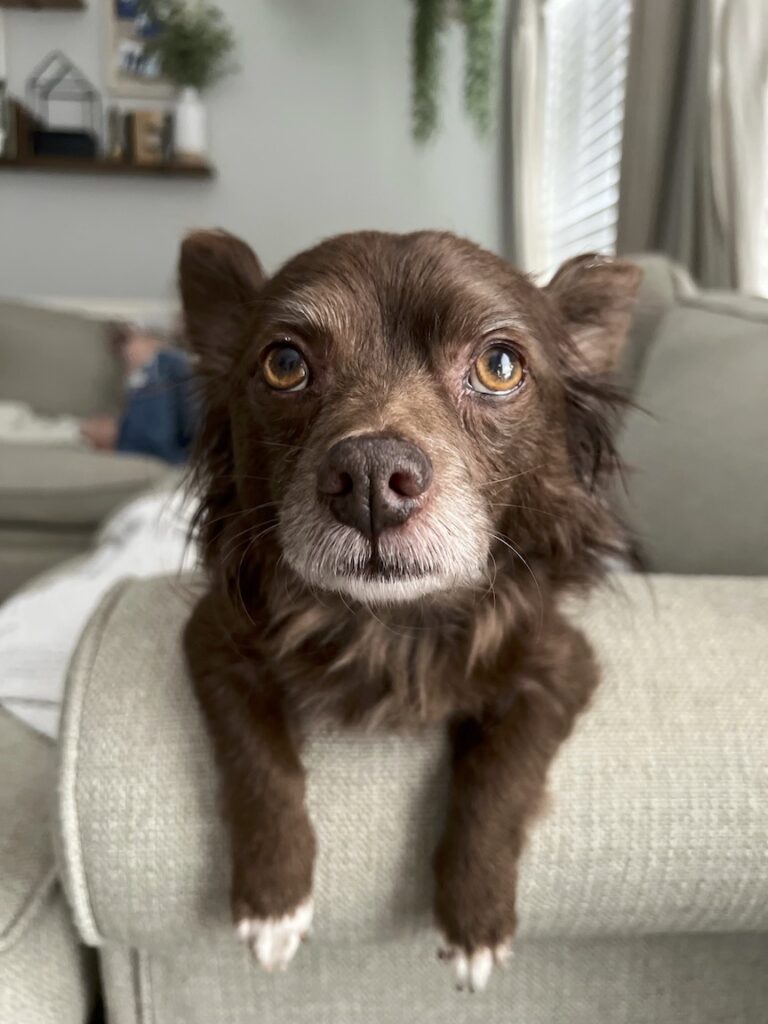 Hangin' on the couch...